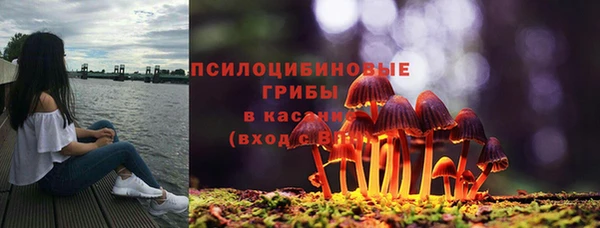 экстази Арсеньев