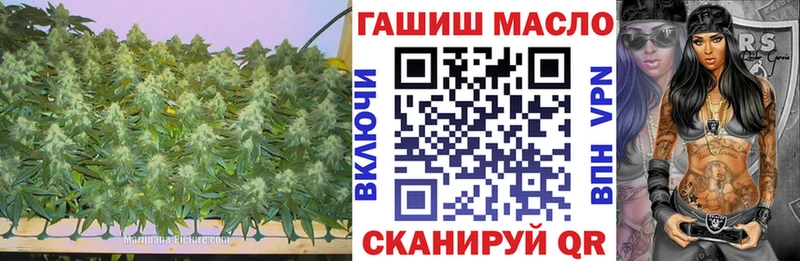 ТГК гашишное масло  Купить  Томари 
