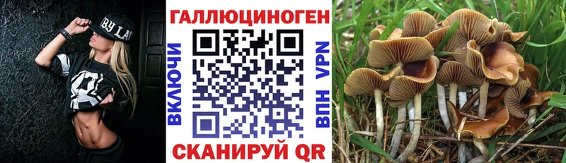 Псилоцибиновые грибы Magic Shrooms  Купить где  Томари 